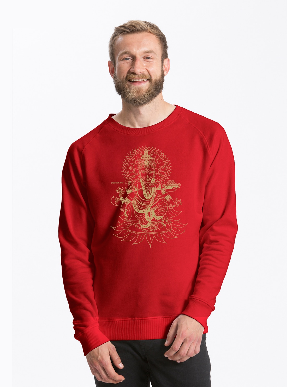 Herren Sweater Ganesha – Bild 10