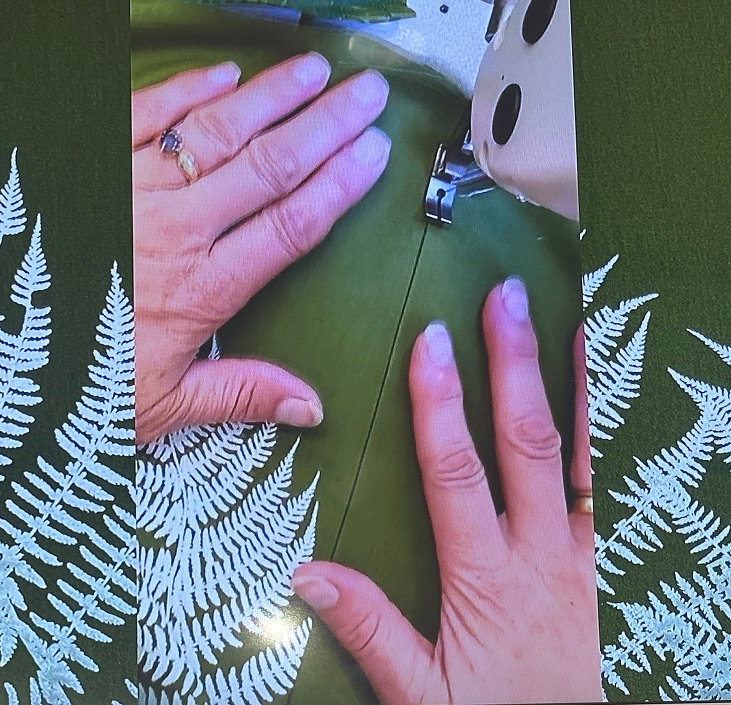 Bio-Designerin Susanne Huber